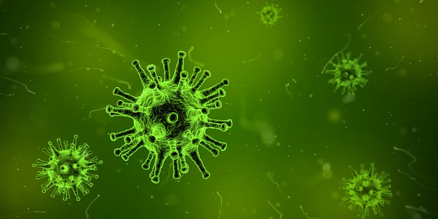 Flu Season is Coming: Reduce the Spread of Germs in Your School