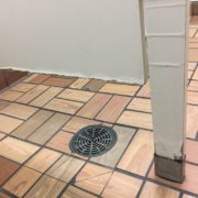 Bacteria Growth in Restroom Partitions Bacteria Growth in Restroom Partitions